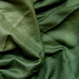Forest Green Pure Handwoven Ombre Pashmina Stole - Zaina by CtoK